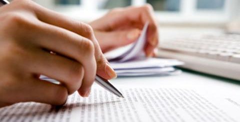 Essay Writing Services