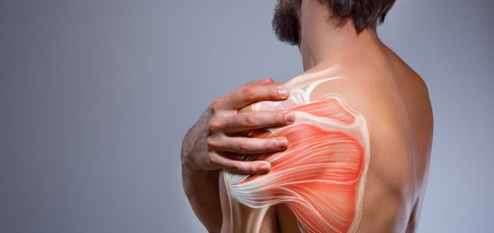 Shoulder Joint Replacement: working procedure of this technique