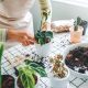 Houseplants and Pets: Finding the Perfect Balance with Safe Options